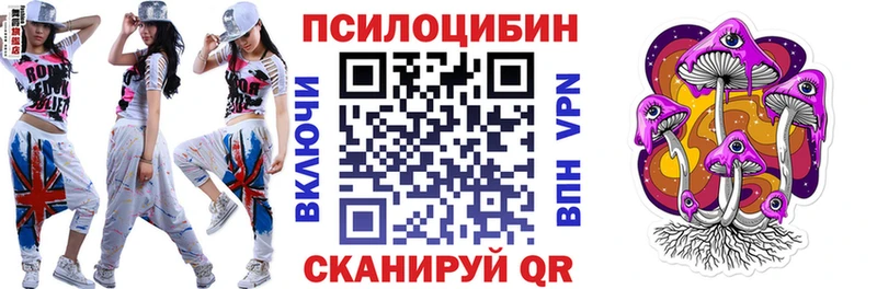 Псилоцибиновые грибы мицелий Озёрск